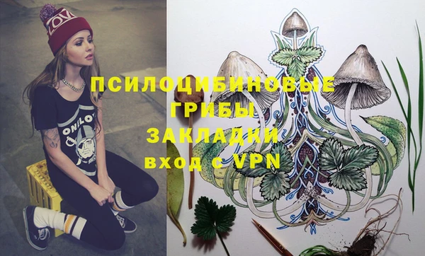 хмурый Армянск