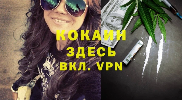 PSILOCYBIN Аркадак