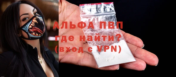 PSILOCYBIN Аркадак